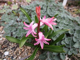 IMG_9465ss.jpg