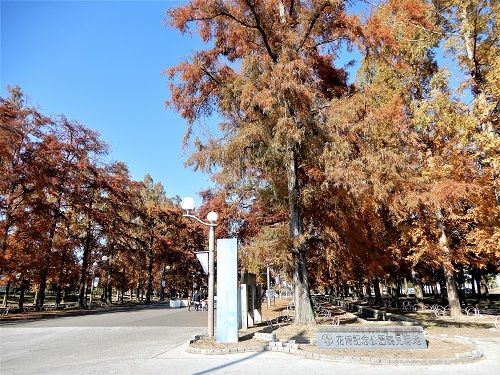 囲碁例会 鶴見緑地前経由で梅田まで 偐万葉田舎家持歌集 楽天ブログ