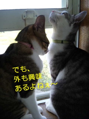 20120817_5.jpg
