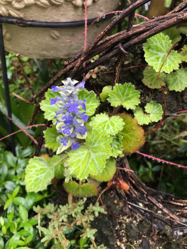 rblog-20190426180311-09.jpg