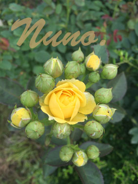 IMG_0001.jpg