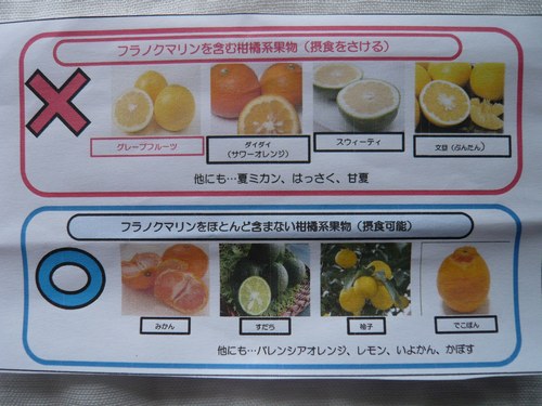 2プログラフ.jpg