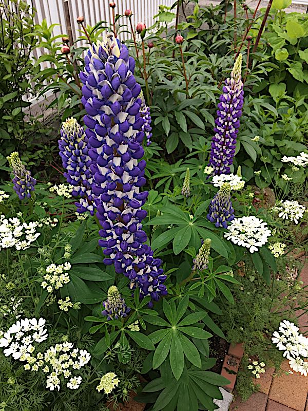 rblog-20170626174955-04.jpg