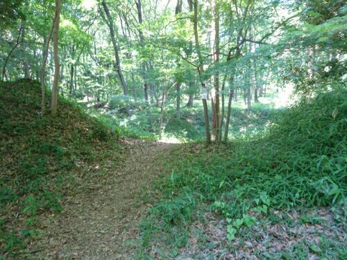 rblog-20180707235827-01.jpg