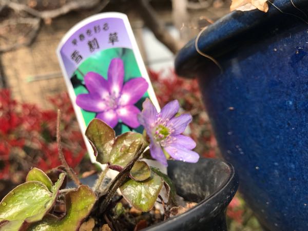 rblog-20190401163710-04.jpg