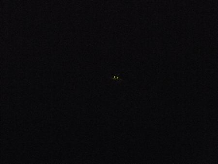 DSCF8014-450.jpg