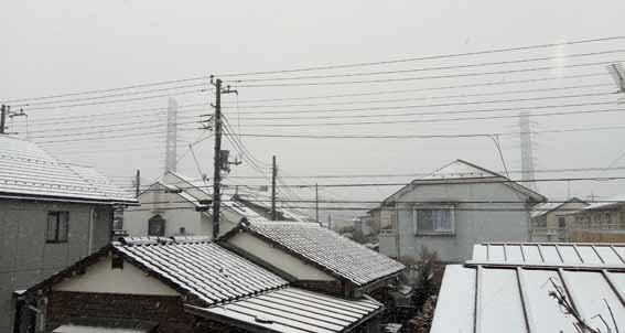 20180122_雪2.jpg