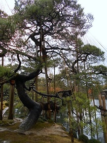 DSCN0548..jpg