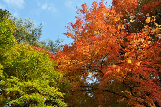 寺家公園