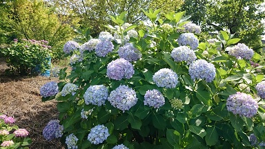 DSC_0013.JPG