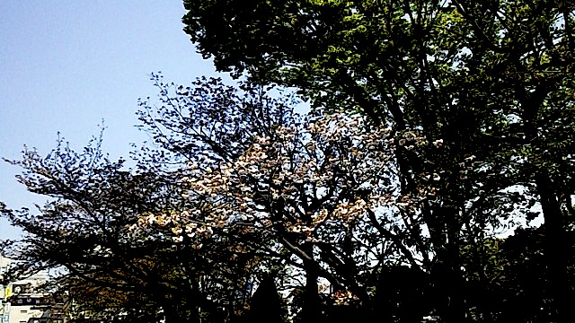140414_135323.jpg