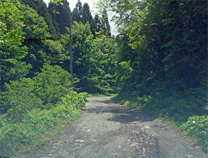 幻想4.jpg