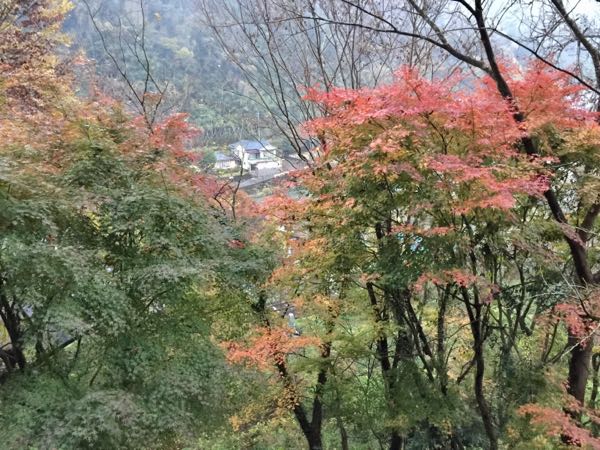 rblog-20161129084015-08.jpg