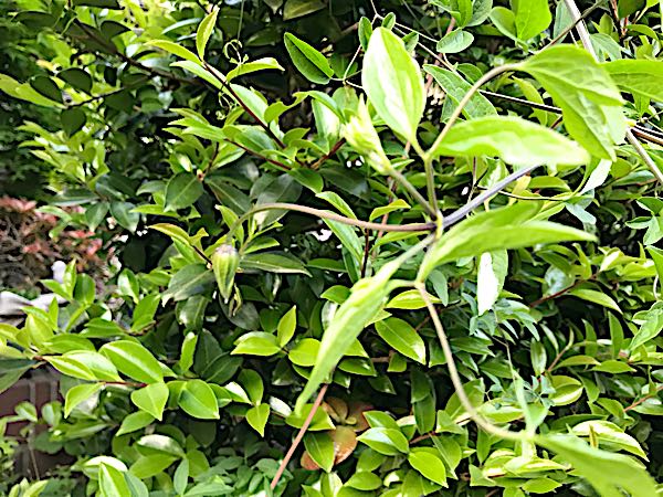 rblog-20180429182659-06.jpg
