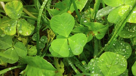 rblog-20140610191108-01.jpg