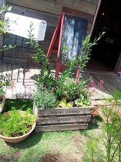 2013-07-30 13.58.36ss.jpg