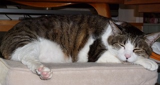 P1290913-ass.jpg
