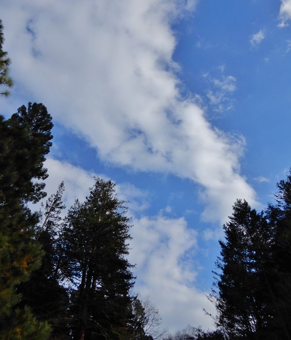 空3