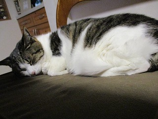 IMG_3130ss.jpg
