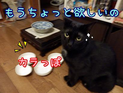 もっと.JPG