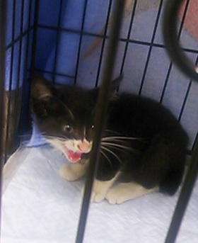 20130612g.jpg