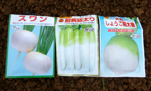 カブと大根.jpg