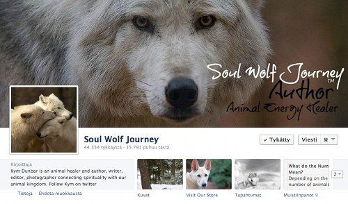 SoulWolfJourney.jpg
