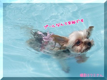 クミ1.jpg
