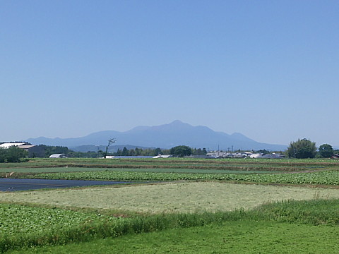 IMG_20160512_122359.jpg