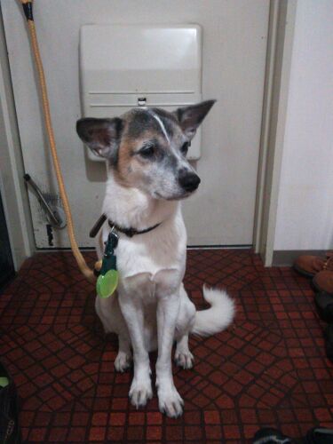 rblog-20140315113708-01.jpg