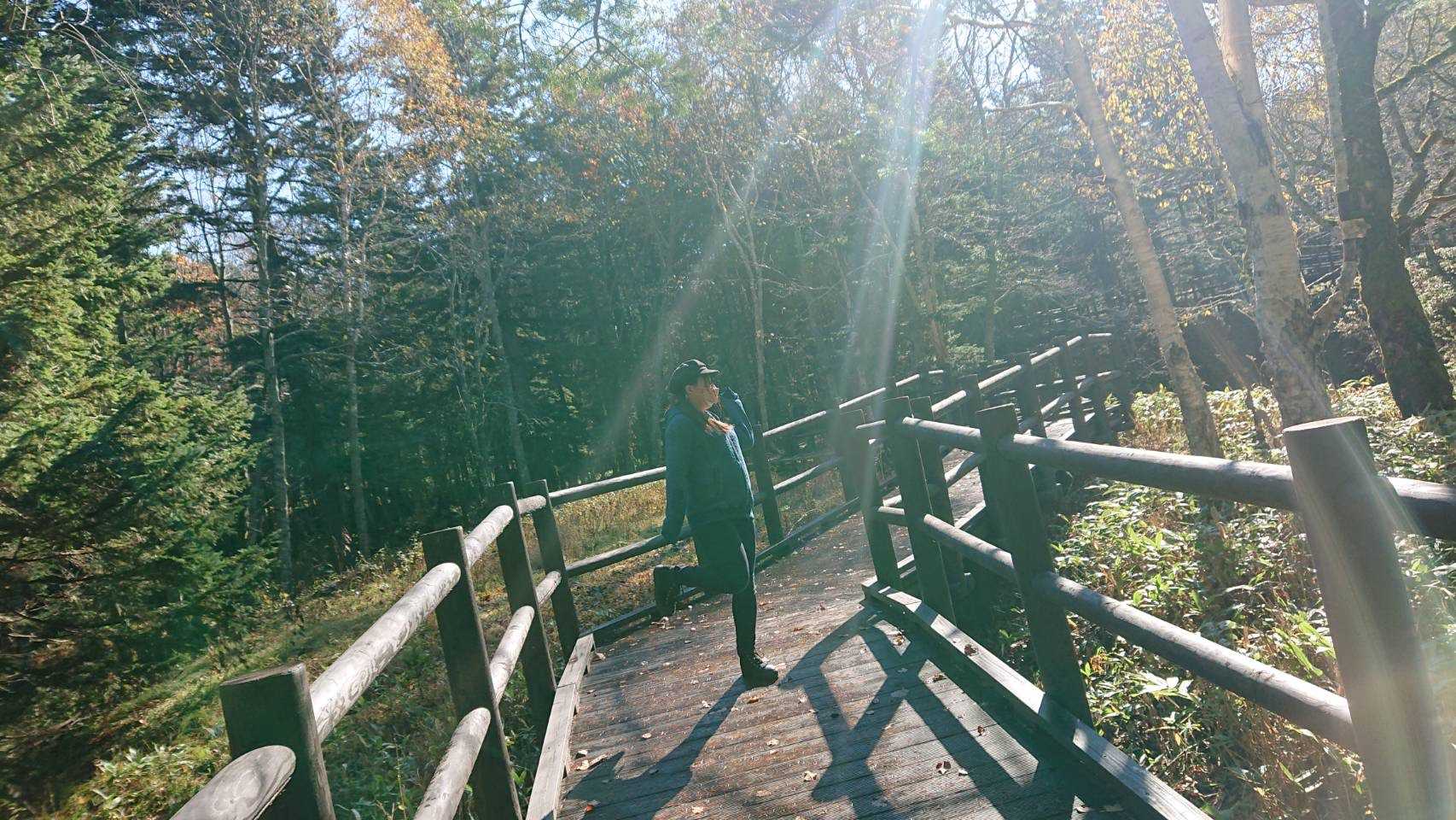 夢叶 〜きまぐれblog〜