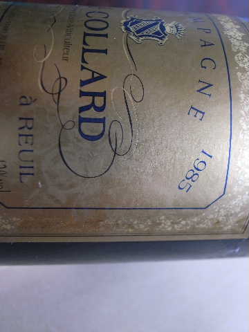 RIMG13961.JPG