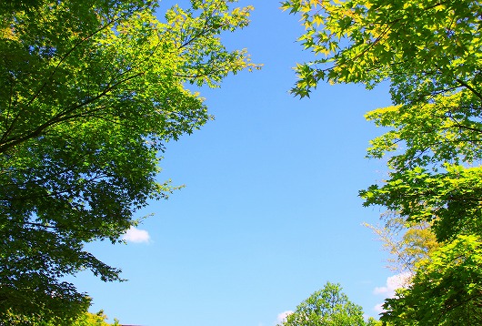 梅雨の晴れ間２０１２.jpg