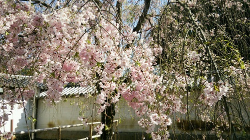 DSC_3380.jpg