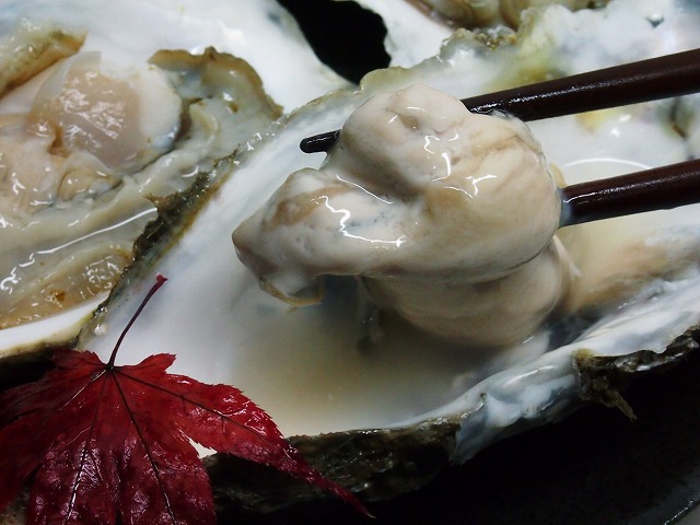 s-p2933.jpg