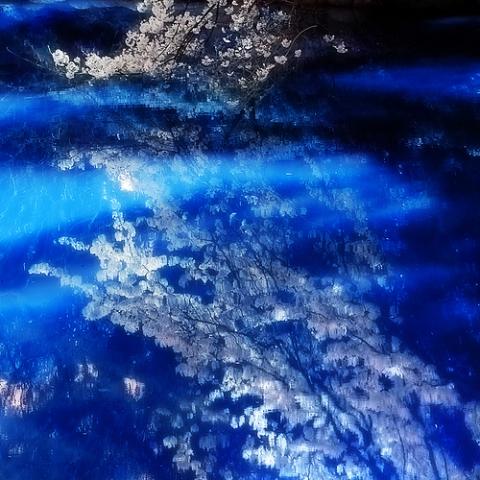 394075386_86bc10311c.jpg