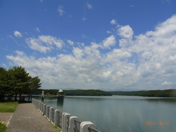 RIMG0420.JPG
