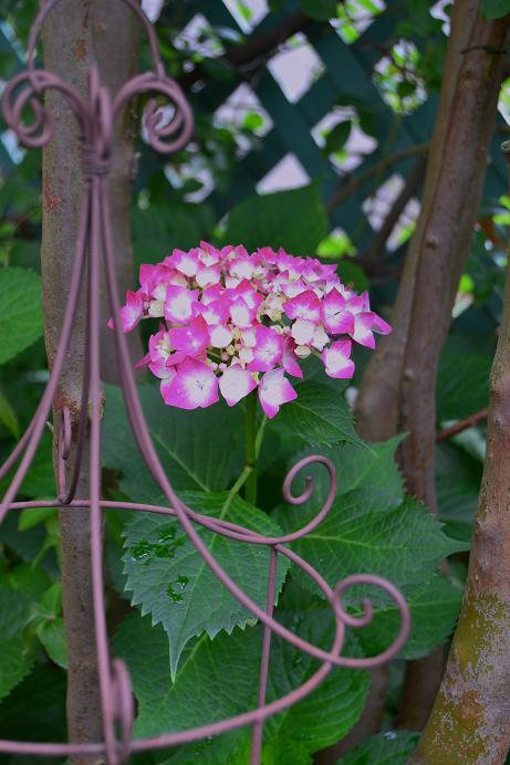 DSC_0797.JPG