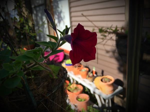 rblog-20151127134606-02.jpg