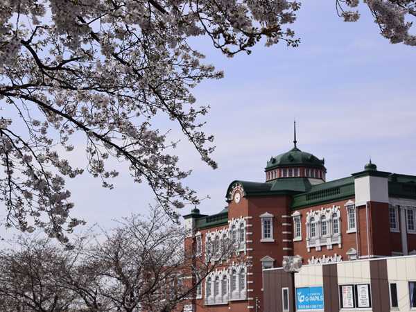 深谷市・唐沢川沿いの桜2021 | 見栄子の熊谷らいふ♪ - 楽天ブログ