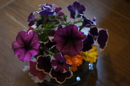 2015_0611切り花0025.JPG