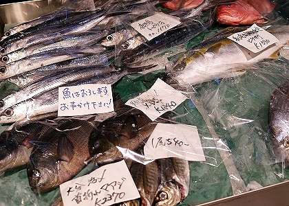 羽田市場銀座直売店　魚
