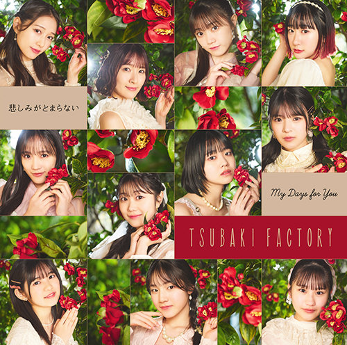 八木栞・石井泉羽・豫風瑠乃(つばきファクトリー)】13thシングル