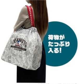 郵便局でしか手に入らない スヌーピー グッズ Joe Cool 50周年記念 オリジナル フレーム切手セットを販売 スヌーピーとっておきブログ 楽天ブログ