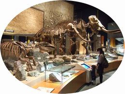 20120430_博物館3.JPG