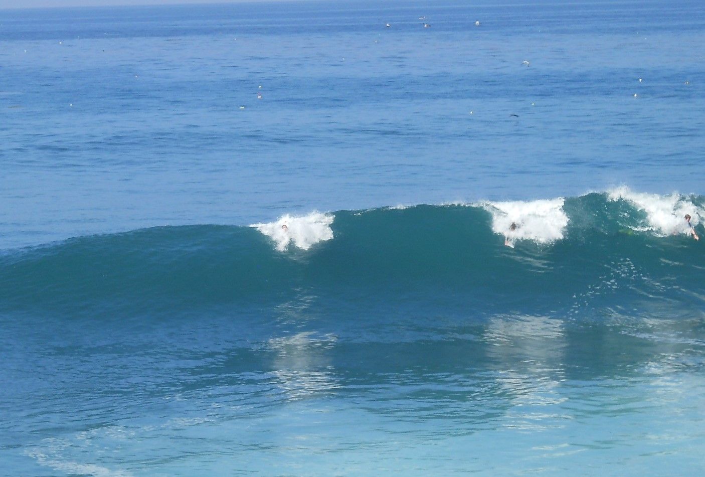 サンディエゴ ラホヤ ビーチ ビッグウエーブ サーファー La Jolla Beach 10月14日 ラスベガス ロサンゼルスの旅 楽天ブログ