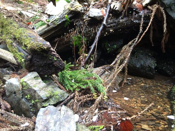 rblog-20160417005224-05.jpg