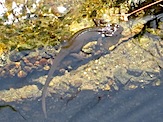 IMG_2590.JPG