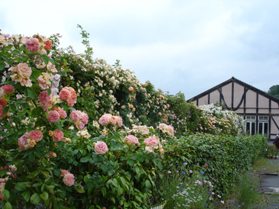 熊山英国庭園