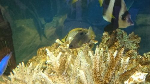 rblog-20170423172329-02.jpg